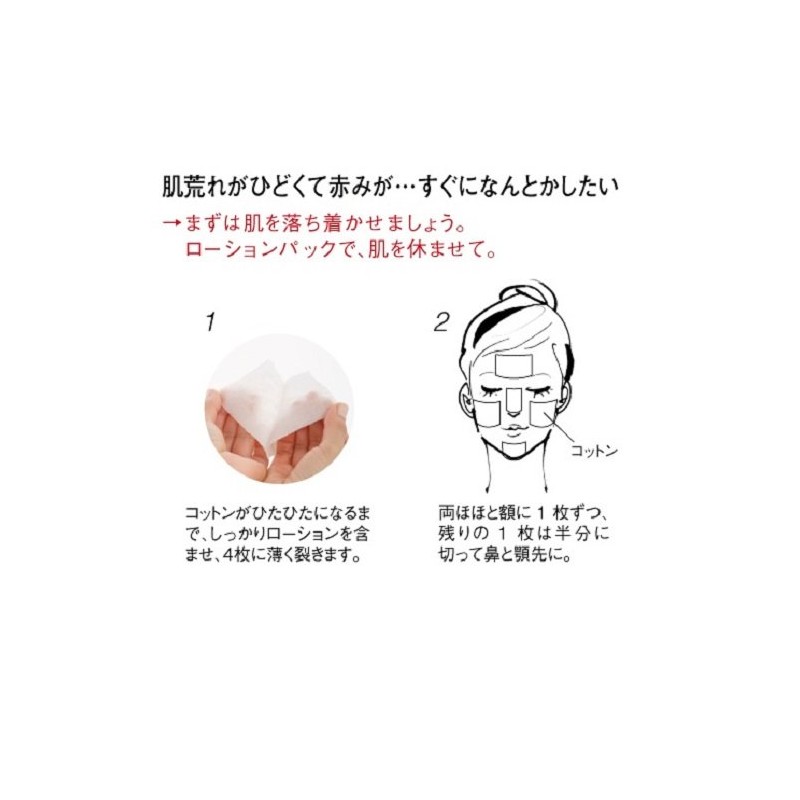 江原道(コウゲンドウ) オーガニックコットン