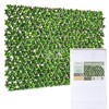NatraHedge Artificial Ficus Leaf Expandable Lattice