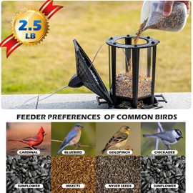 Birdream Hanging Bird Feeders, Retro Pagoda Design Fun Installation Squirrel Proof Bird Feeders, Attracting Wild Birds Chickadees Goldfinches Cardinals Finches and Sparrows - Black