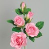Flower Pro Five Petal Rose Cutters (Set of 3) -