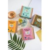 Citrus Shampoo Sampler - 4 x 15g Travel Size Shampoo