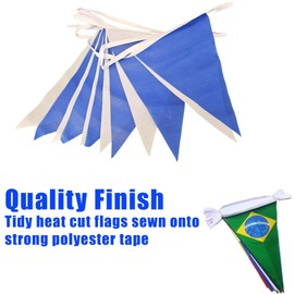 Argentina Bunting - South America - 9 Metre Bunting - Polyester - 30 Flags Per 9M Length - FlagSuperstore