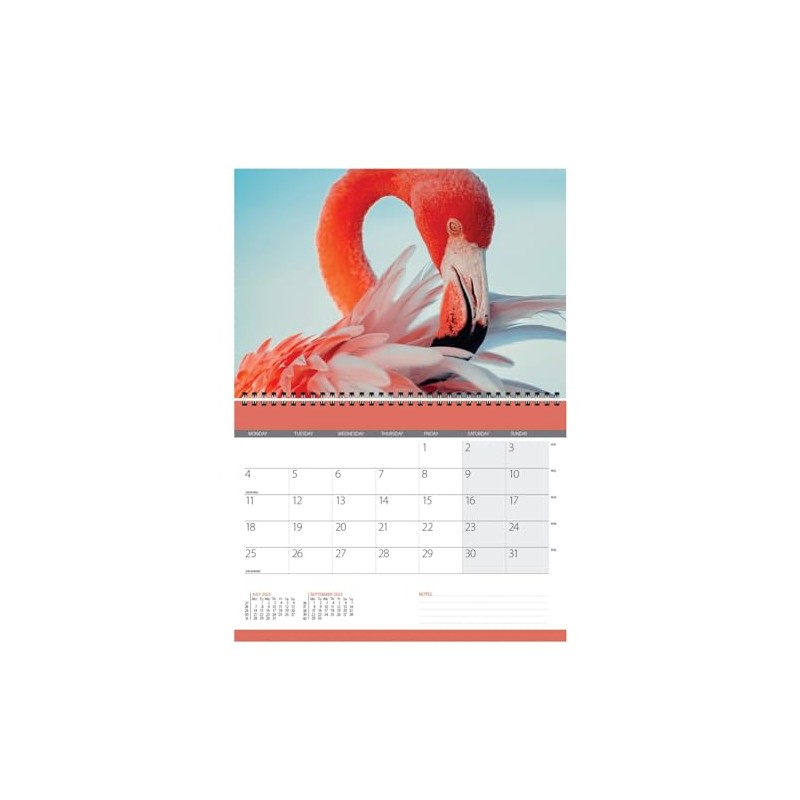 2025 World Wildlife Wall Calendar - CL06