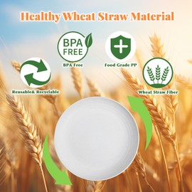 SINOGE Plastic Plates Reusable 8 Inch, Unbreakable Wheat Straw Plates, Lightweight Deep Dinner Plates Set of 4, Dishwasher and Microwave Safe Kitchen Plates for Kids,Pinic,Party- Sunset Feast