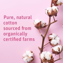Simply Soft Bolitas de Algodón Orgánico Premium, 600 Unidades (3 Bolsas) 100% Algodón Puro, Certificado Orgánico, Hipoalergénico, Grandes, Suaves y Ab
