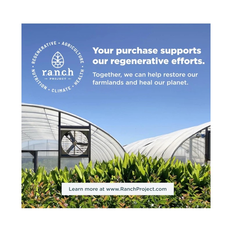 Ancient Nutrition Multi Collagen Protein, Vanilla 16.7 oz Powder