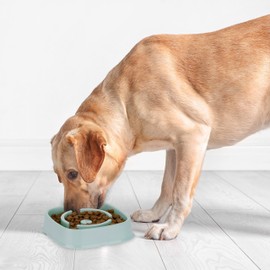 Relaxdays Anti Sling Bowl, Feeding Bowl for Dogs, Pet Bowl 800 ml, Slow Eating, Dog Bowl Dishwasher Safe, Blue, 5 x 20 x 20 cm