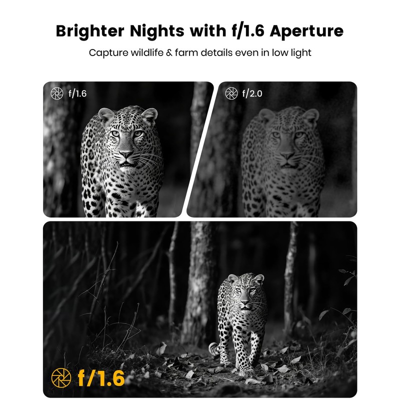 Misstech 4K UHD Solar Trail Camera for Game & Wildlife