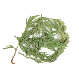 NY Spice Shop Cedar Leaf Whole - 2 Ounce