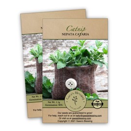 Gaea's Blessing Seeds - Catnip Seeds - Non-GMO Heirloom Seeds Nepata Cataria Open-Pollinated - with Easy to Follow Instructions - 90% Germination Rate Net Wt. 1.1g (Pack of 2)