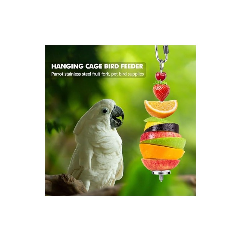 Soporte de Comida para pájaros, Titular de Comida para Loros,