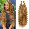 Eerya Long Curly Braiding Hair 18 Inch 2 Packs Deep