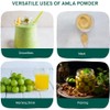 HANDPICK HANDPICK, Amla Powder (500g/17oz) Amalaki | Raw Amla Powder