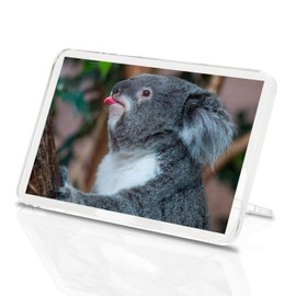 Koala Bear Classic Fridge Magnet - Australia Outback Wild Cute Animal Gift #8255