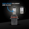 Wagner Lighting BP9006 Standard Multi-Purpose Light Bulb Card of 1