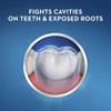 Crest Toothpaste 8.2 Ounce Cavity Protection Regular (Pack of 2)