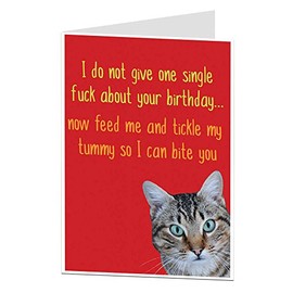 Funny Offensive Cat Birthday Card For The Owner Lover Perfect For Husband Wife Mum & Dad Blank Inside To Add Your Own Personal Greeting
