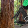 Xeoca Tree Climbing Spikes, Alloy Steel Climbing Spurs, 350lbs Load
