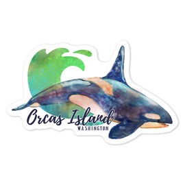 Die Cut Sticker Orcas Island, Washington, Orca, Watercolor, Contour Vinyl Sticker 1 to 3 inches (Waterproof Decal for Cars, Water Bottles, Laptops, Coolers), Small