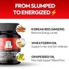 JUNG KWAN JANG US Cápsulas de extracto de ginseng rojo