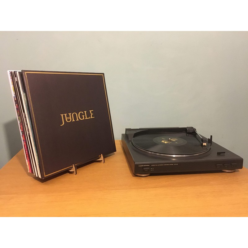 Vinyl Record Storage and Display Stand for 10-25 Records, Oak