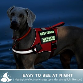 WINSEE Service Dog Patches Do Not Pet Patch for Service Vest Dog Harness(2 Pack, M)