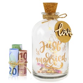 Taekooki LED Bottle Light Wedding LED Bottle Light with Saying – Beautiful, Illuminated Bottle, Wedding Gifts Money Light Bottle for Bride and Groom and Fresh Lovers