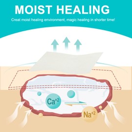 4x4 Calcium Alginate Absorbent Wound Dressing for Pressure Sore Leg Ulcer Burns Surgical Incisons Non-Adhesive Alginate Guaze Pad Gentle Padding Fast Wounds Healing Pack of 5