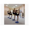 Almohadilla De Entrenamiento De Estabilidad Para Yoga, Ejerc