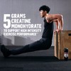 Cytosport Monster Creatine Unflavored - Gluten Free