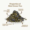 Mint Green Tea Organic Marrakech Mint 90g (45 Cups) |