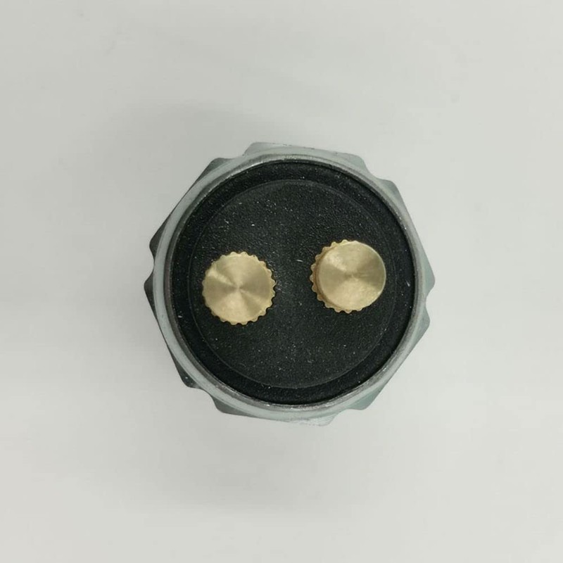 TMaster Universal Low Pressure Type Brake Light Switch and Pig