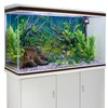 AWERT 72x18 inches Tropical Fish Tank Background River Bed &