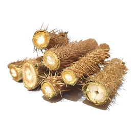 Domestic Acanthopanax 500g Acanthopanax Acanthus acanthus Acanthus acanthus tree Acanthus acanthus Domestic acanthus acanthus [Acanthium acanthus: 500g] / 국산 가시오가피 500g  가시오갈피 가시오가피나무 오가피 국내산 가시오가피[가시오갈피:500g]
