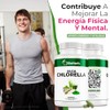 Bioherb Alga Chlorella Orgánica 100 Pura Cápsulas 500 Superfood Natural