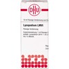 DHU Lycopodium LM VI Dilution, 10 ml Solution