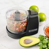 Kitchen Selectives Mini Chopper by Select Brands - Mini Electric
