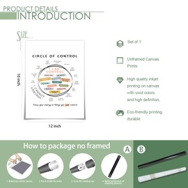 Circle Of Control Poster What I Can And Cannot Control Therapy Office Decor Kids Mental Health Poster Calm Down Corner School Counselor Supplies 12 x 16 in Unframed