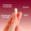 Suplemento Resveratrol 800mg Vitamina Nuboos 180 Cápsulas Veganas