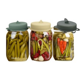Fermentation Lids Airlock, 4Pack, 3 inch Mouth, Burping Lid Mason Jar, Fermenting Lid Kimchi, Pickles, Sauerkraut, Fermentation Lids for Mason Jars EasyLid Fermenting Kit The Spirit of the Forest