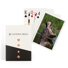 Lantern Press Hippopotamus (52 Playing Cards, Poker Size Card Deck with Jokers)