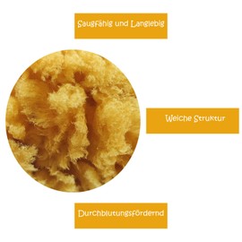 Natural Sponge Natural Grown Approx. 140 mm (Pack of 1)