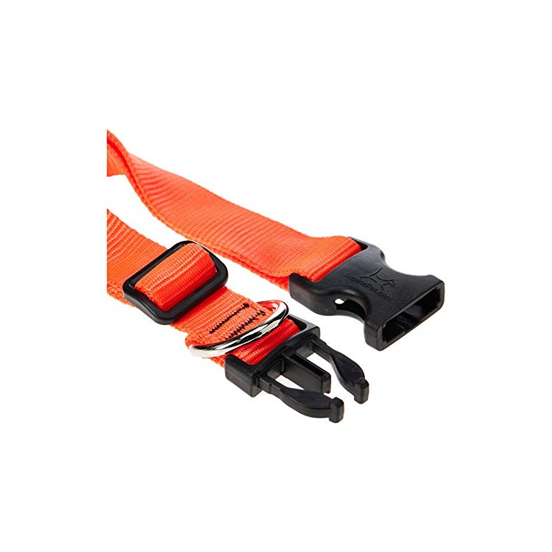 LupinePet Basics 1" Blaze Orange 16-28" Adjustable Collar for Large