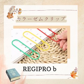 Regipro b Color Zem Clips Extra Large 4" Paper Clips for File Classification Color Mix/Random (30)