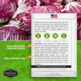 Palla Rossa Chicory Seed for Planting - 1 Packet with Instructions to Plant & Grow Red Radicchio in Your Home Vegetable Garden - Non-GMO Heirloom Variety Vegetable Seeds - Survival Garden Seeds