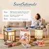 Scentsationals Wax Melts, Wax Cubes Strong Scent - Illusion -