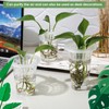Baderke 35 Pcs Plastic Plant Propagation Station Desktop Terrariums Plant