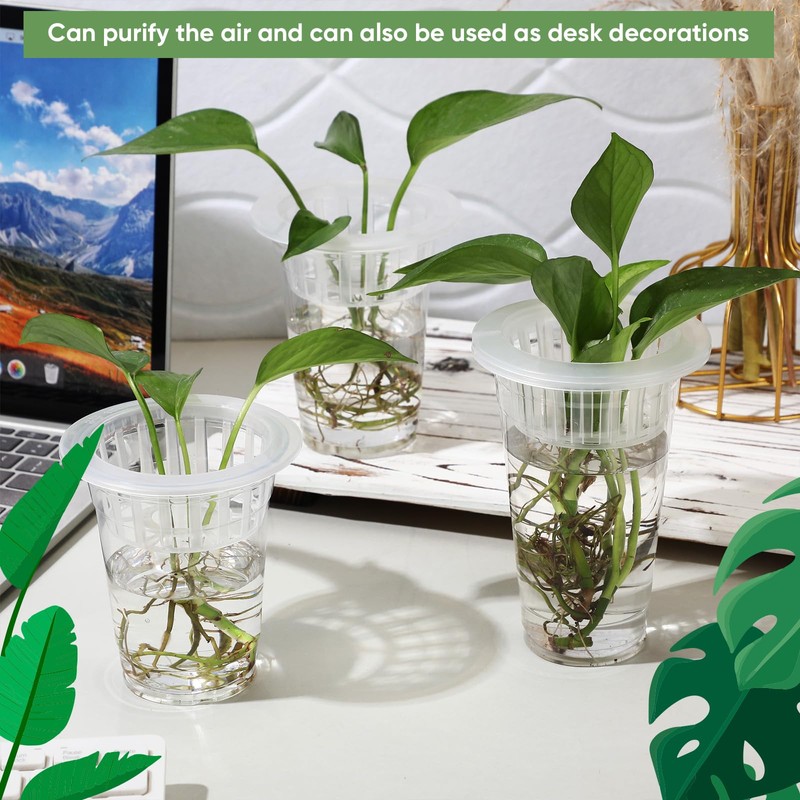 Baderke 35 Pcs Plastic Plant Propagation Station Desktop Terrariums Plant