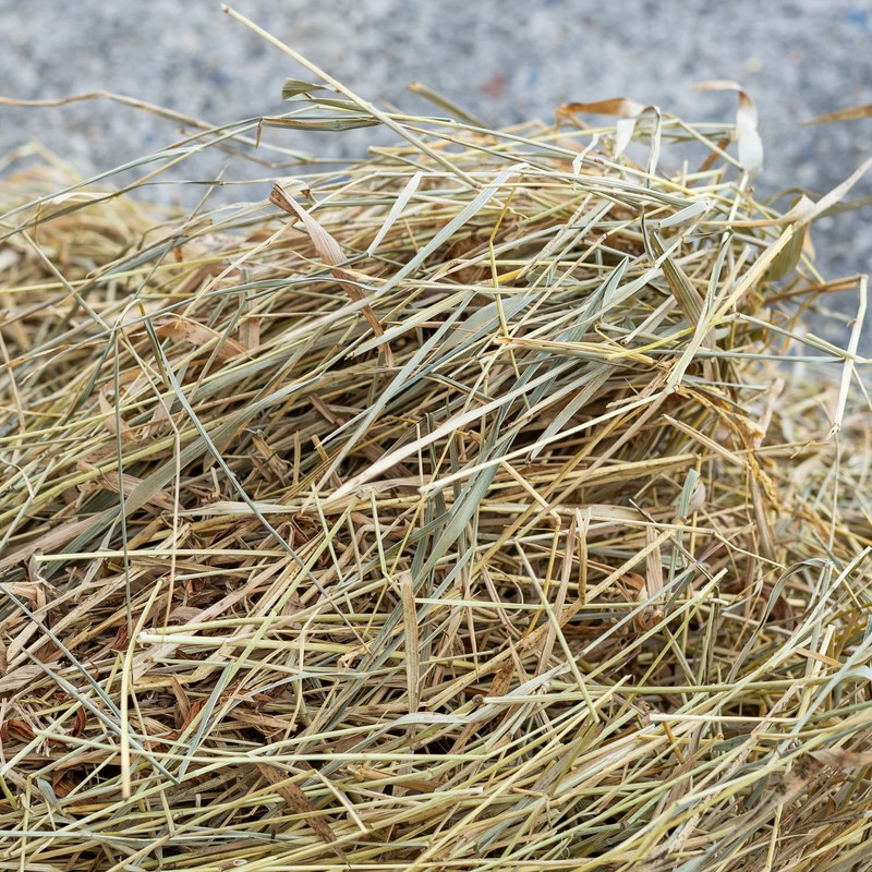 Woodside Hedgehog House Nesting Material 400g – 100% Natural Straw