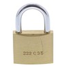 Burg Wächter C-Line 222 35 SB Padlock with 2 Keys